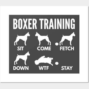 Boxer Training Boxer Dog Tricks Posters and Art